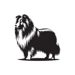 Shetland Sheepdog vector silhouette, elegant herding breed outline, loyal companion design, fluffy fur contour, intelligent posture, canine graphic art, dog lover emblem, minimal modern editable illus