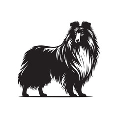 Shetland Sheepdog vector silhouette, elegant herding breed outline, loyal companion design, fluffy fur contour, intelligent posture, canine graphic art, dog lover emblem, minimal modern editable illus
