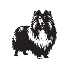 Shetland Sheepdog vector silhouette, elegant herding breed outline, loyal companion design, fluffy fur contour, intelligent posture, canine graphic art, dog lover emblem, minimal modern editable illus