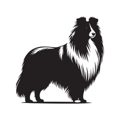 Shetland Sheepdog vector silhouette, elegant herding breed outline, loyal companion design, fluffy fur contour, intelligent posture, canine graphic art, dog lover emblem, minimal modern editable illus