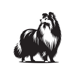 Shetland Sheepdog vector silhouette, elegant herding breed outline, loyal companion design, fluffy fur contour, intelligent posture, canine graphic art, dog lover emblem, minimal modern editable illus