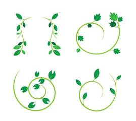 Floral Decorative Vines and Wreath Elements vector illustration	
