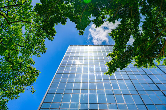 Modern business building in green sustainability eco-friendly environment under blue clean sky