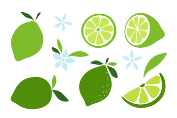 A set of limes, a whole citrus fruit, half, a slice, a flower, leaves, isolated. Vector illustration, flat design. Simple botanical modern green elements for decoration, label, design, poster, banner