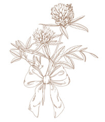 Clover and bow. Handmade vector ink illustration.