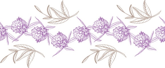 Seamless border of clovers buds and leaves