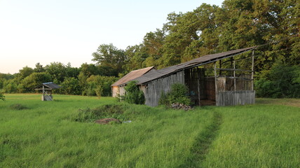 A rural landscape without people with an old wooden hayloft and a dilapidated well with a manual water pump in a green field near a forest with lush, juicy grass in the sunset light