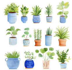 Beautiful collection of various potted plants in decorative containers, showcasing range of green foliage and vibrant colors. Ideal for home decor and gardening enthusiasts