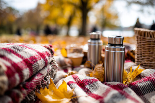Friends having outdoor Thanksgiving picnic in park, plaid blankets, thermos with hot cider, golden leaves around,