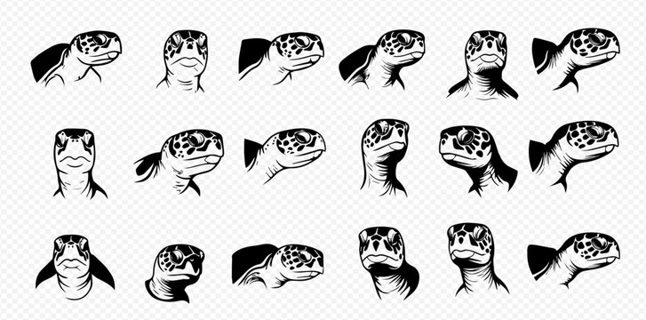 A collection of detailed, black and white illustrations showcasing sea turtle heads from various angles and perspectives.