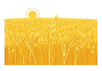 Graphic of wheat stalks in field under sun; harvest time, agricultural design