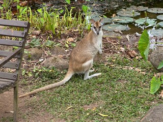 Roundtrip in Australia