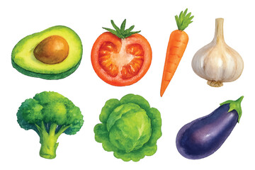 watercolor vegetable bundle collection set