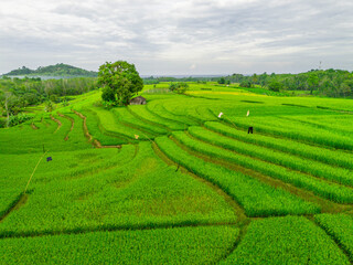 Wonderful sunrise scenery indonesia nature mountain valley forest with bright sky