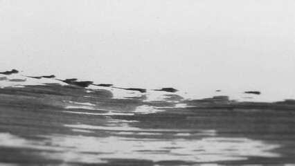 Motion blur horizontal black and white ink. Stroke is a sharp, jagged line that defines boundary between dark paint and white space. Below this line paint gray and dark black strokes