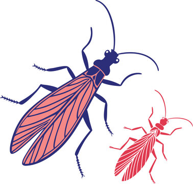 big size stoneflies with silhouette vector colorful design