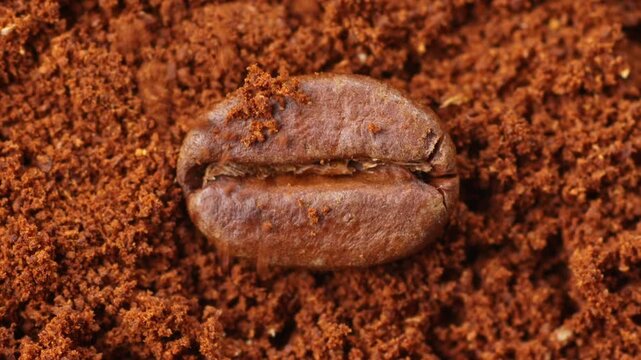 Roasted Coffee bean on a bed of fine coffee grounds