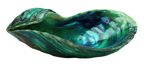 Polished iridescent shell, vibrant teal and green hues