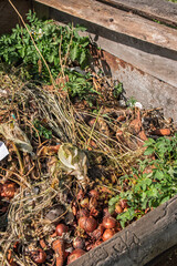 A compost heap filled with decaying organic matter, perfect for enriching soil.