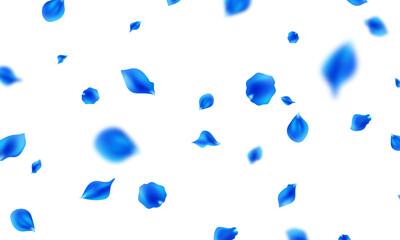 Falling blue petals on abstract floral background with beautiful petal pattern on greeting card. Vector illustration.