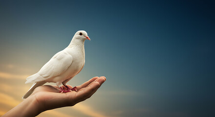 Obraz premium A white dove of peace rests gently on an outstretched hand against a sunset sky.
