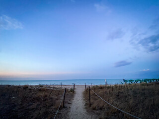 Fototapeta premium Tranquil path through beach grass leading to the Adriatic Sea at sunset in Pineto, Italy, creating a serene coastal scene