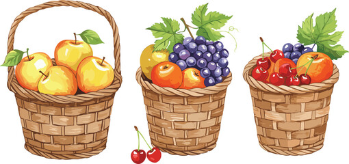 Watercolor Baskets of Fresh Fruits with Apples, Grapes, Cherries, Green Leaves, Natural Wicker Texture, Healthy Organic Food Illustration