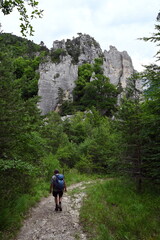 Fototapeta premium les sucettes de bornes