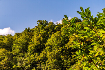 Paisaje en Covadonga, Asturias, España.