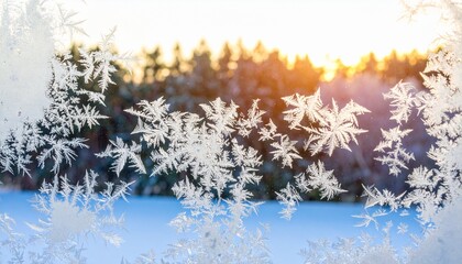 A Stunning Frost Formation Creates Intricate Winter Ice Crystals On A Window, Showcasing Nature S Delicate Beauty, With A Warm Sunset Glow In The Background.
