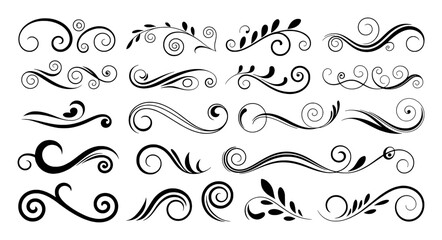 Assortment of Black Swirls and Flourishes with Leaf Accents on White scroll vine