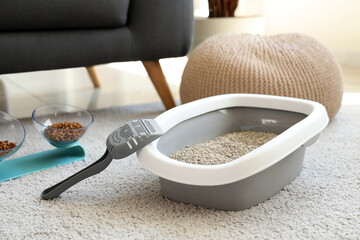 Cat litter box with scoop on carpet in living room