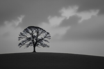 Solitary Bare Tree on Grassy Hill Under Cloudy Sky