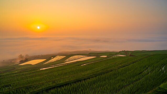 Golden sunrise illuminates a misty agricultural landscape with greenhouses