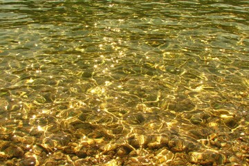 Clear shallow water, golden light reflecting on rocks