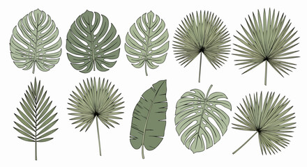 Fototapeta premium Tropical leaf illustration