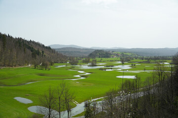 スロベニア_Jakovicaの湿地帯