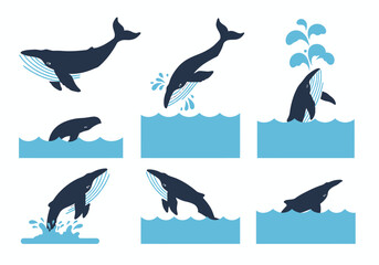 A collection of stylized illustrations depicting various whale behaviors, including breaching, swimming, and spouting water in a blue ocean setting.