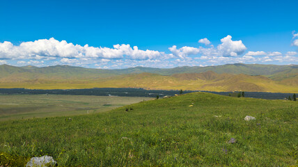 Vast green grassland under a clear blue sky with hills, trees, and a road. Serene and picturesque natural landscape with scattered stones.