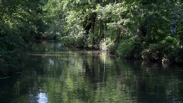 Wasserlauf im Spreewald, endloser Flusslauf, Brandenburg, Deutschland