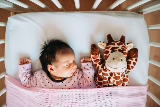 Newborn baby girl sleeping in crib with a plush giraffe