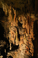 スロベニア_ポストイナ鍾乳洞