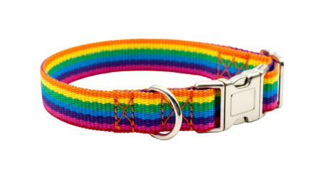 colorful belt isolated on white