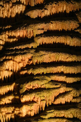 スロベニア_ポストイナ鍾乳洞