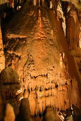 スロベニア_ポストイナ鍾乳洞