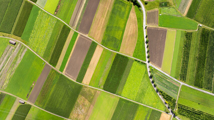 Aerial view of colorful cultivated fields creating a geometric pattern in the countryside of Tyrol, Austria, highlighting agricultural land use © danr13