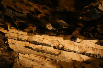 スロベニア_ポストイナ鍾乳洞