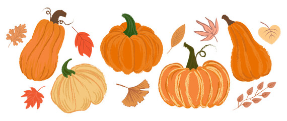 Set of pumpkins and leaves - illustration of autumn and Thanksgiving