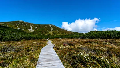 Papier peint photo  A scenic wooden walkway winds through a mountain meadow, leading to a backdrop of verdant hills under a vibrant blue sky.  © aristha