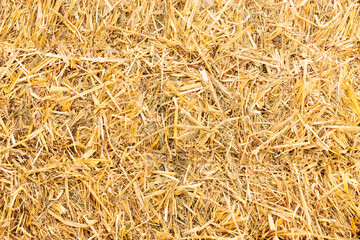 dry hay harvest season autumn time simple pattern background image